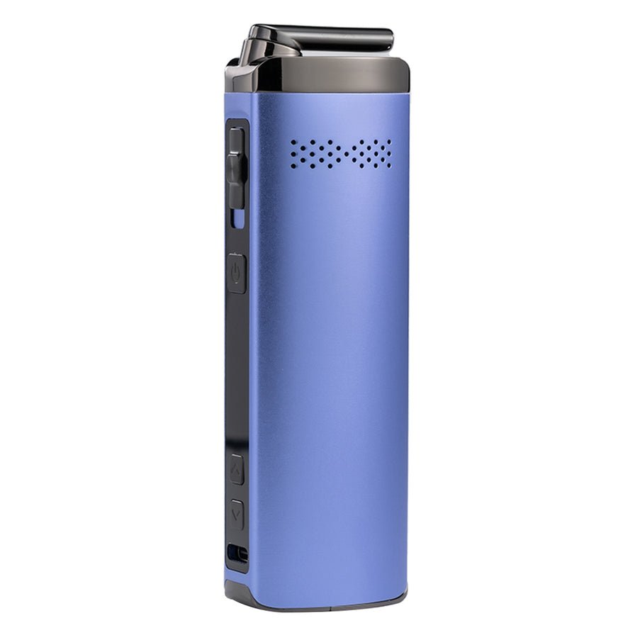 XMax Starry V4 17 XMax Starry V4 - Image 17