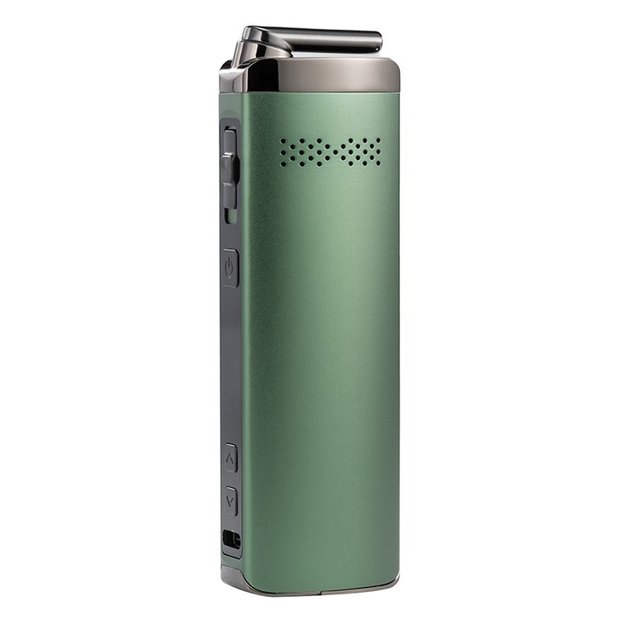 XMax Starry V4 24 XMax Starry V4 - Image 24
