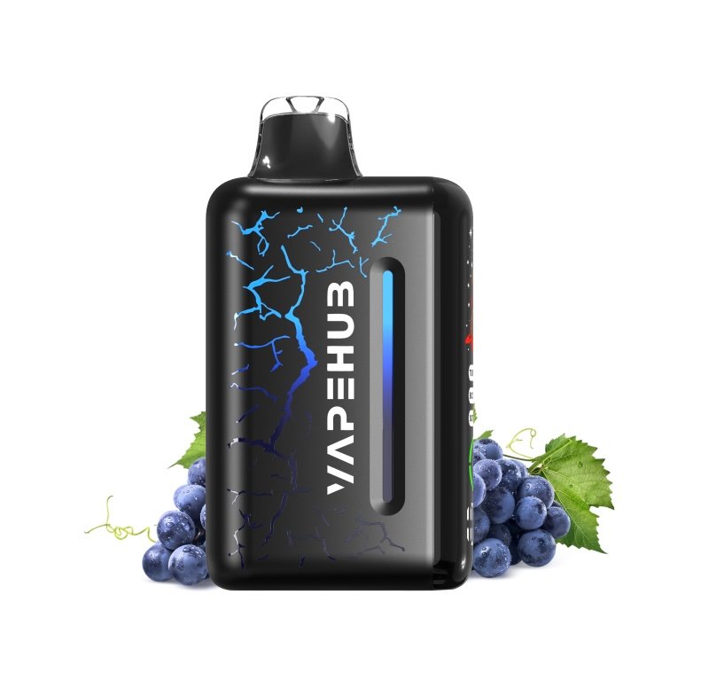 BLUEBERRY BLAST STORM – VAPEHUB ULTRA 20000 1 BLUEBERRY BLAST STORM – VAPEHUB ULTRA 20000