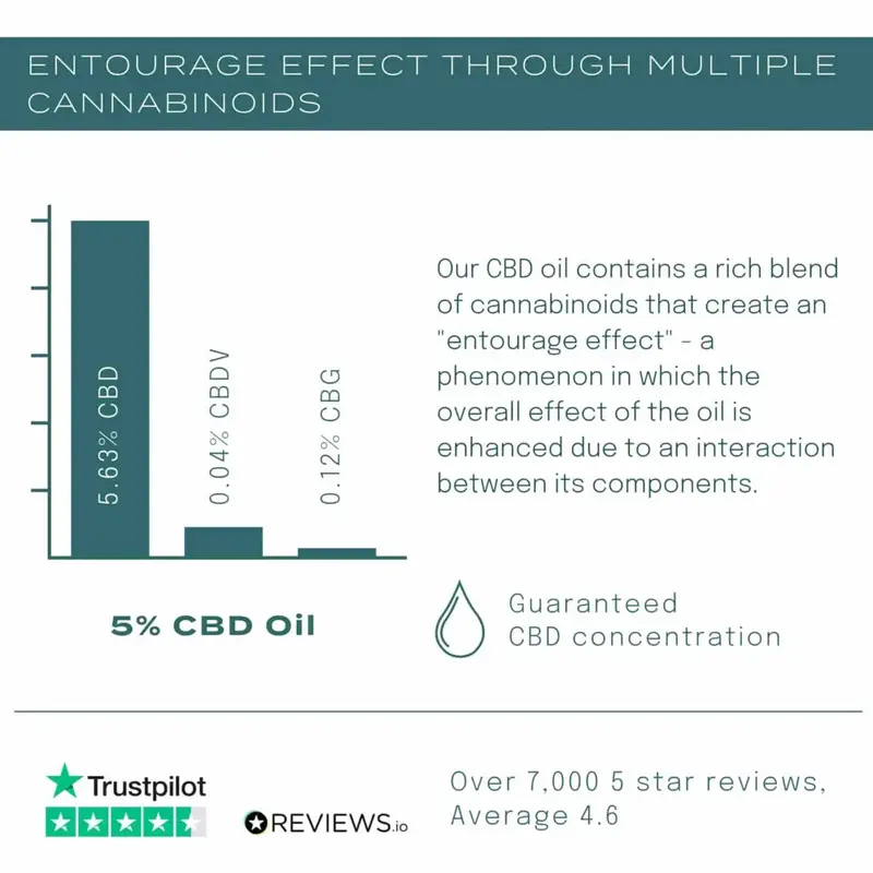 20% CBD Oil 5 20% CBD Oil - Image 5