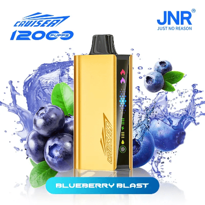 Blueberry Blast – JNR CRUISER 12000 PUFFS 2 Blueberry Blast – JNR CRUISER 12000 PUFFS - Image 2