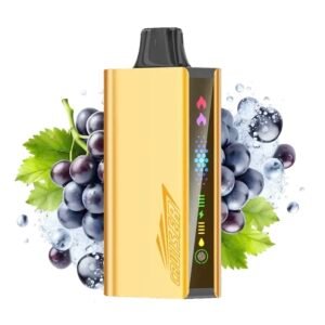 Grape Ice – JNR CRUISER 12000 PUFFS